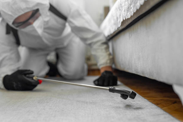 Professional Ant Control technician working in Hamburg, IA